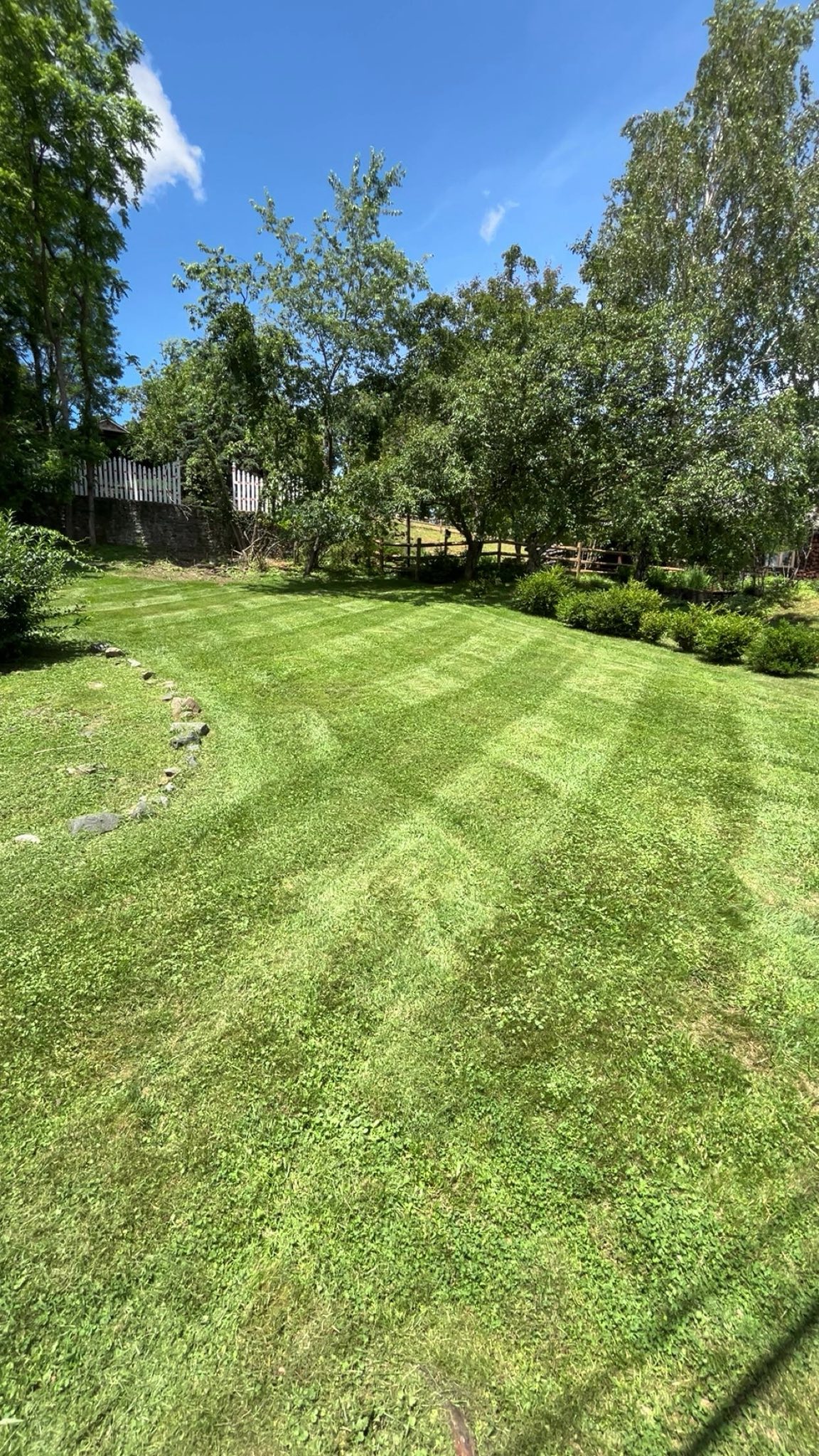 Mowed lawn with fence