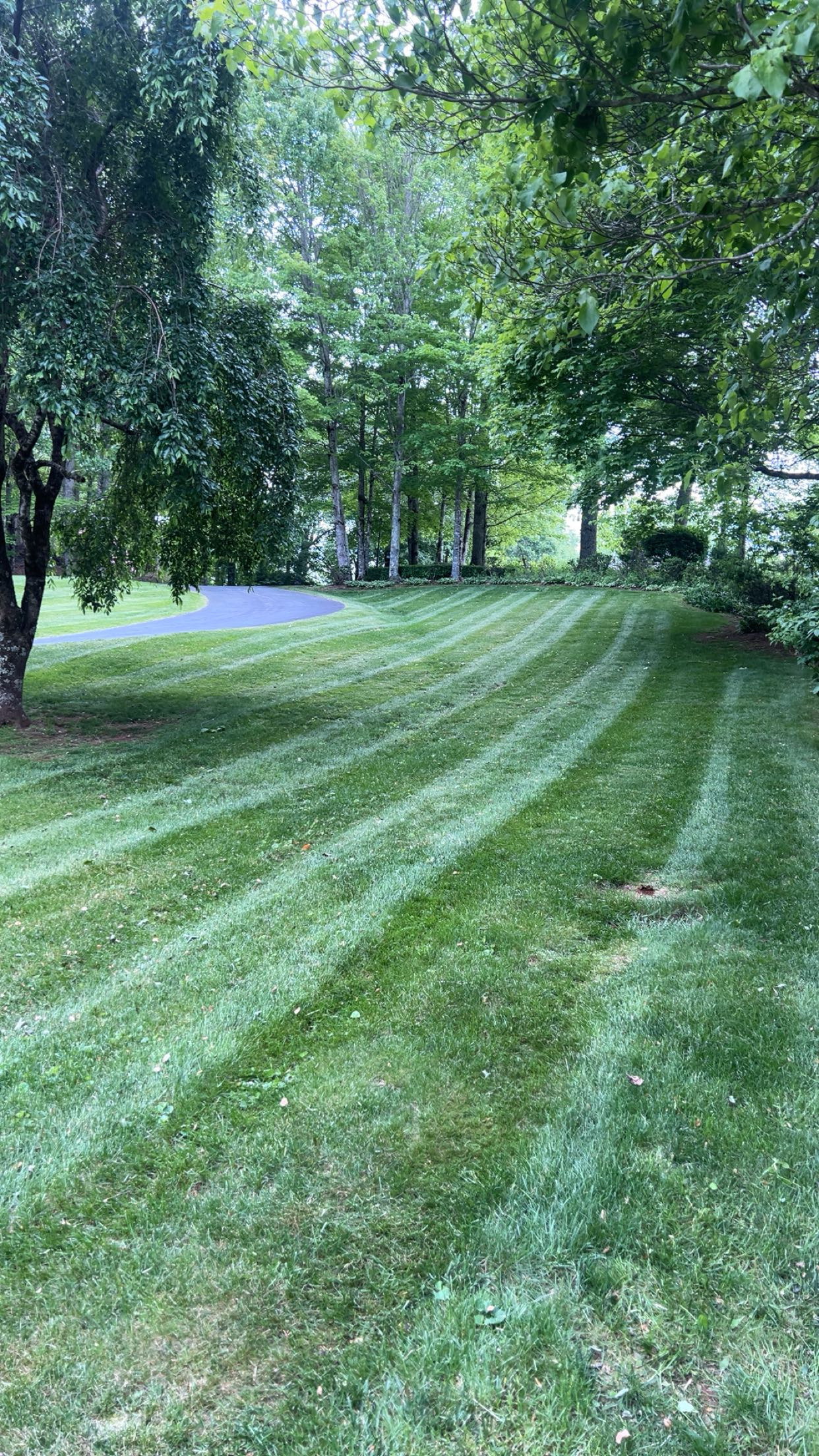 Diagonal striped lawn