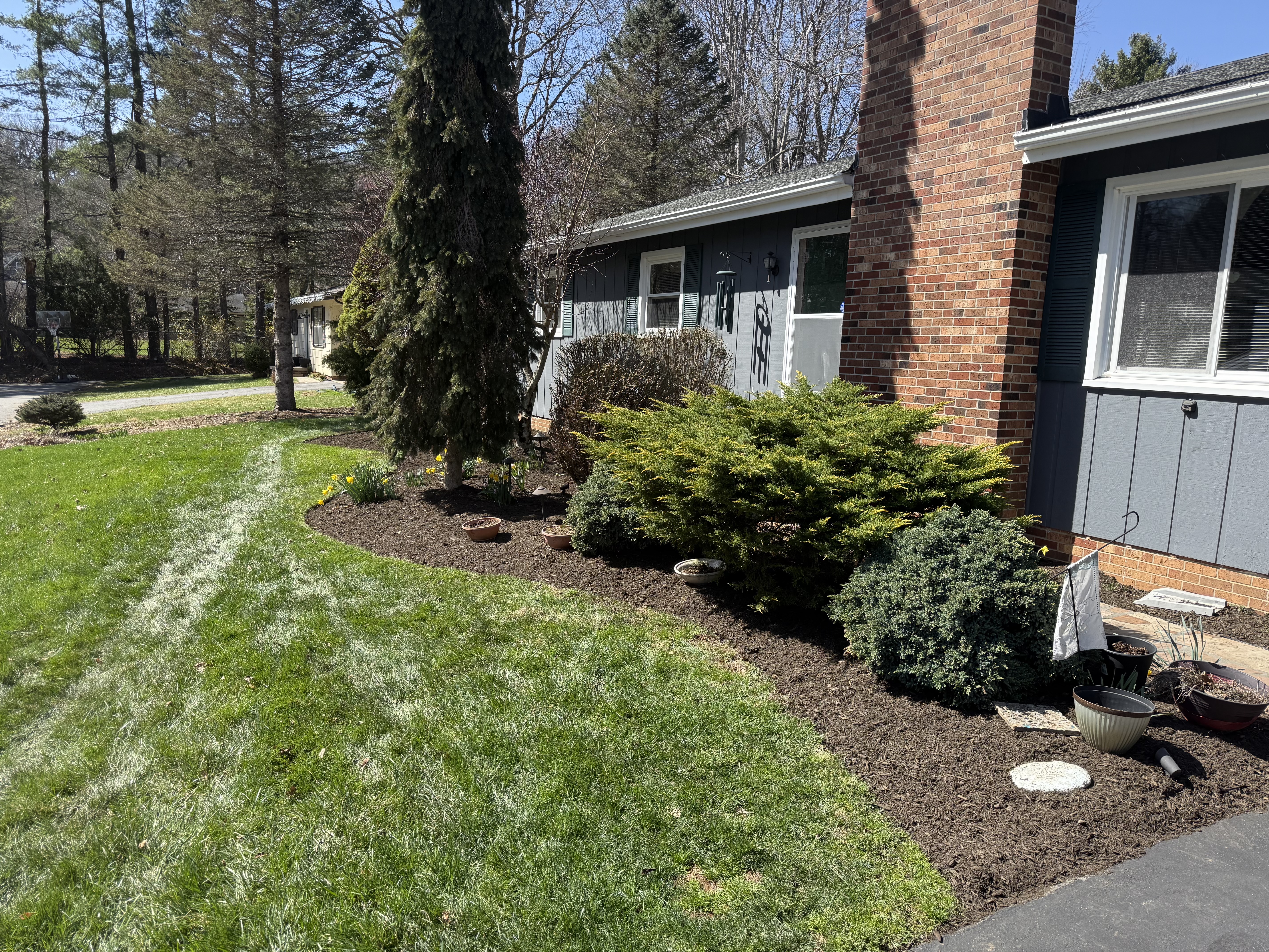 Front yard landscape bed with shrubs