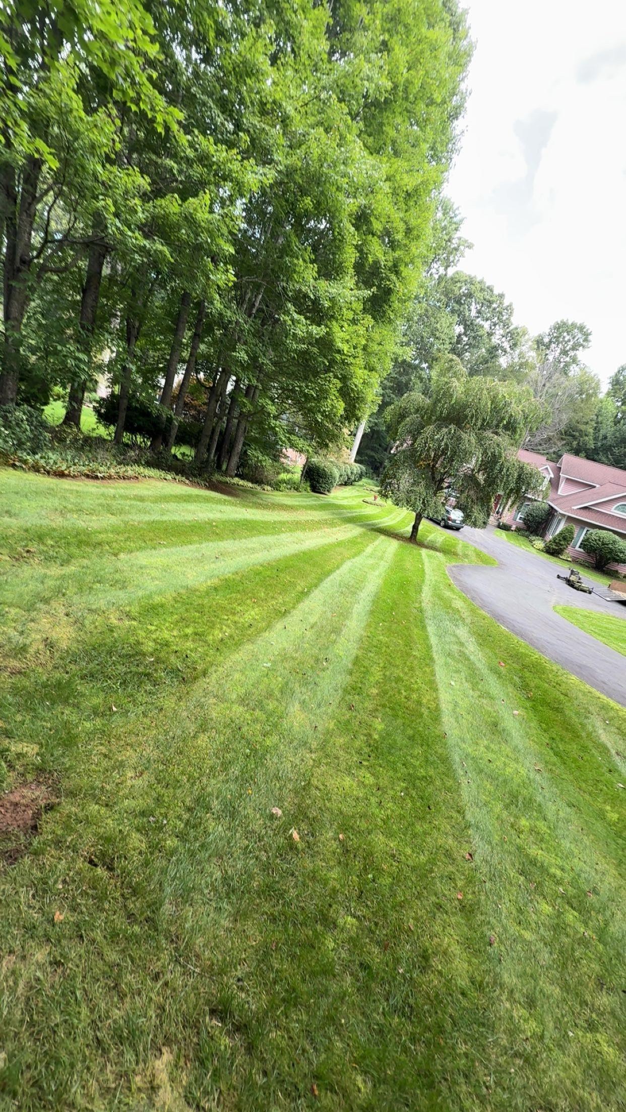 Striped lawn near house