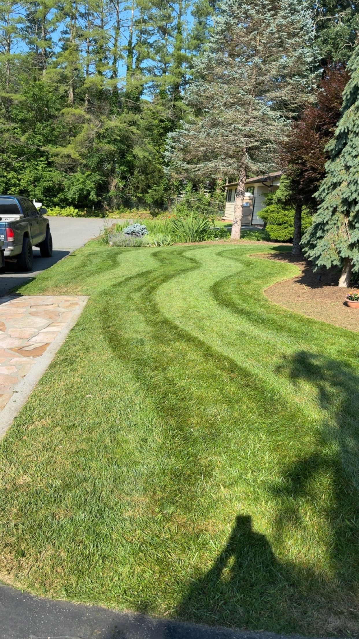 Curved wavy mowing stripes