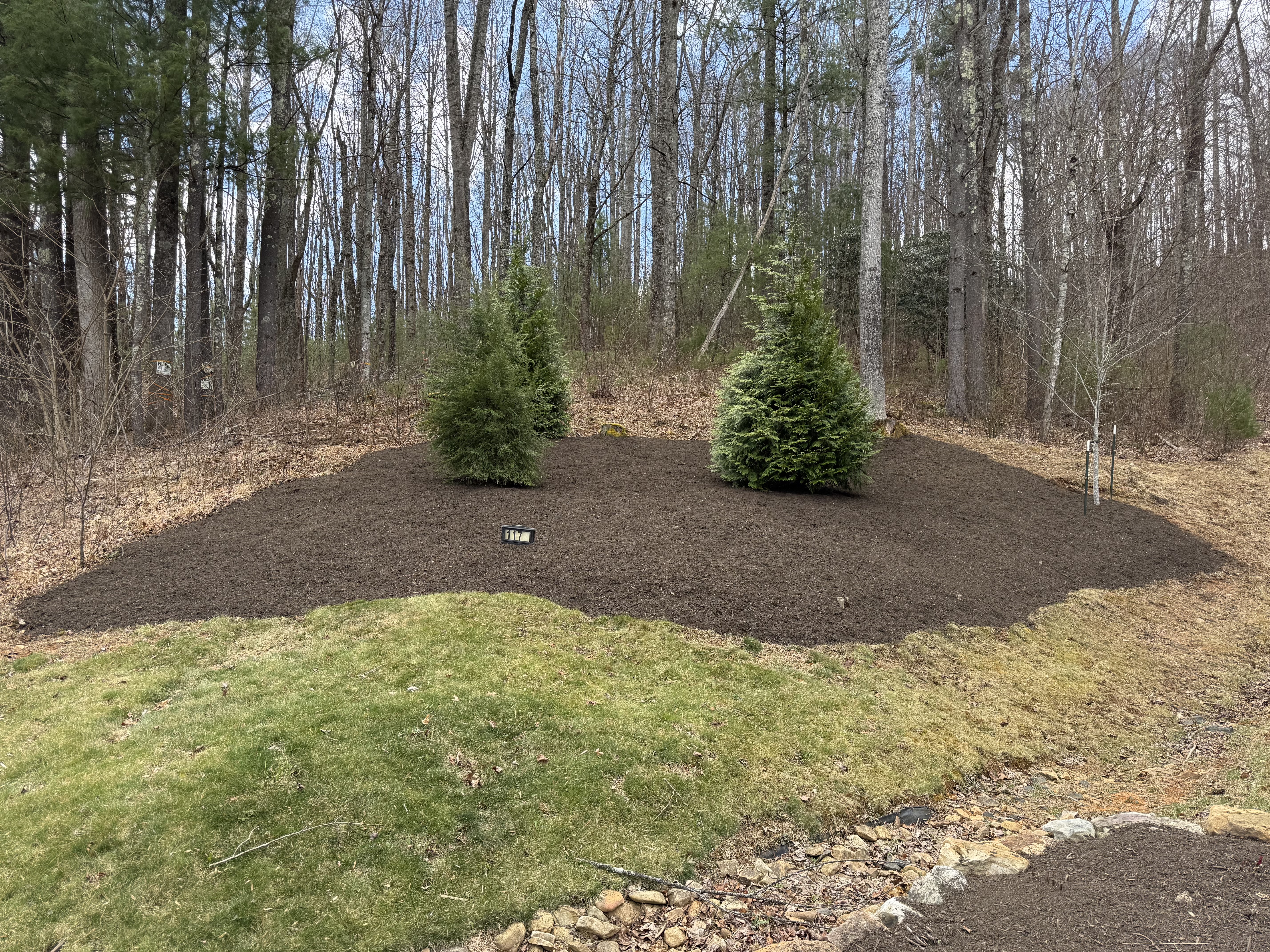 Large mulch bed with planted trees